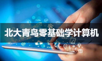 零基礎入門軟件開發 可能之路與學習指南